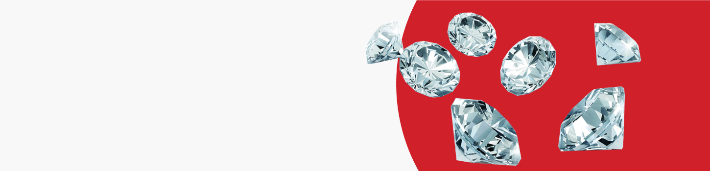  Программа лояльности